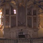 orgel Floh