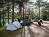 20260706-Auswahl-007