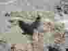 20270714-Auswahl-006