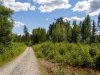 20220729_Schweden_Johann_064
